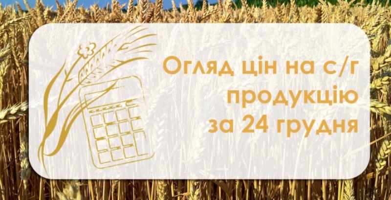 Соняшник та ячмінь подешевшали — огляд цін на с/г продукцію за 24 грудня