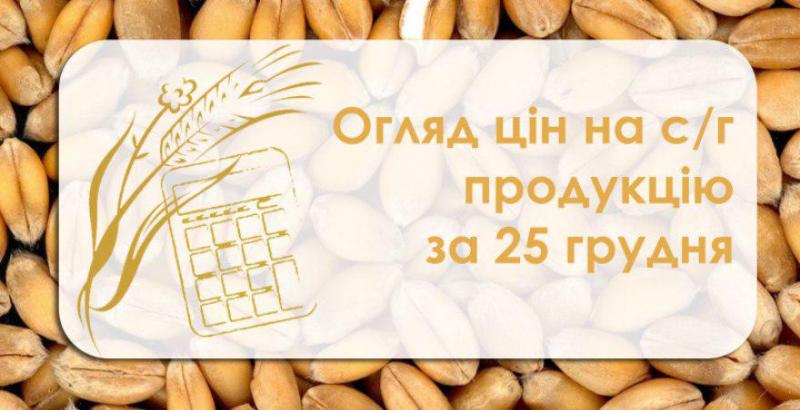 Ячмінь та кукурудза подорожчали — огляд цін на с/г продукцію за 25 грудня