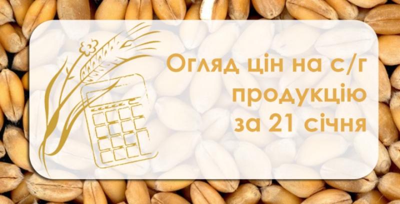 Ячмінь та соя подорожчали — огляд цін на с/г продукцію за 21 січня