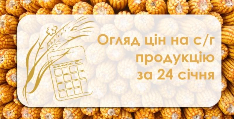 Зернові продовжують дорожчати — огляд цін на с/г продукцію за 24 січня