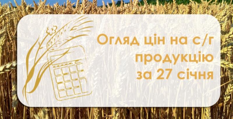 Зернові та олійні подешевшали — огляд цін на с/г продукцію за 27 січня