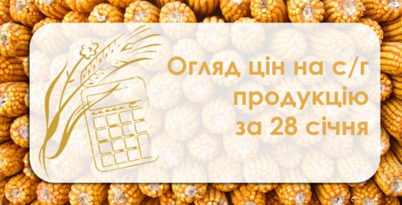 Як змінились ціни на зернові та олійні — огляд за 28 січня