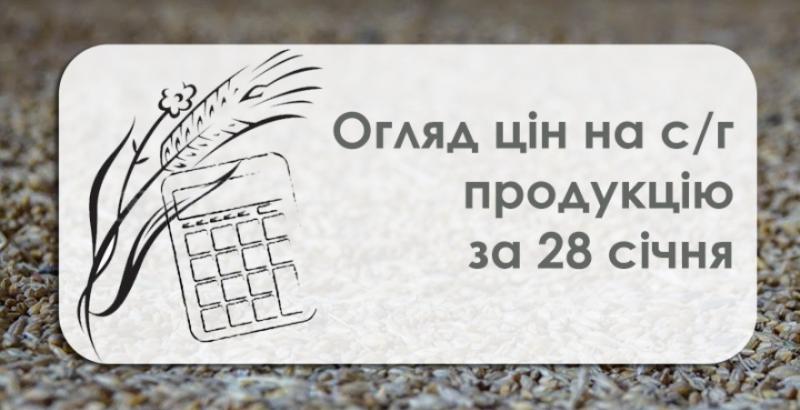 Соняшник та соя подешевшали — огляд цін на с/г продукцію за 29 січня