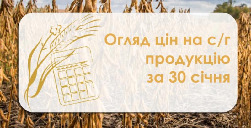 Ріпак та соя подешевшали — огляд цін на с/г продукцію за 30 січня