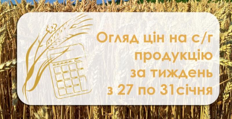 Ціна пшениці та кукурудзи зросла — огляд за тиждень з 27 по 31 січня