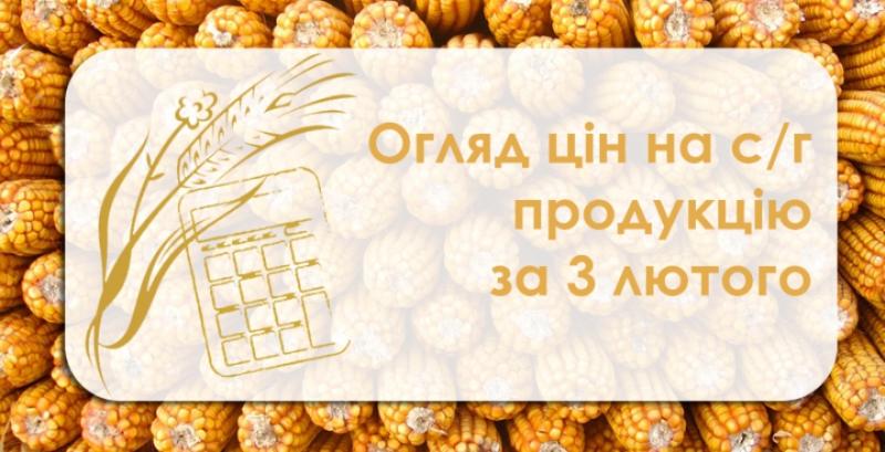 Зернові та олійні дорожчають — огляд цін на с/г продукцію за 3 лютого