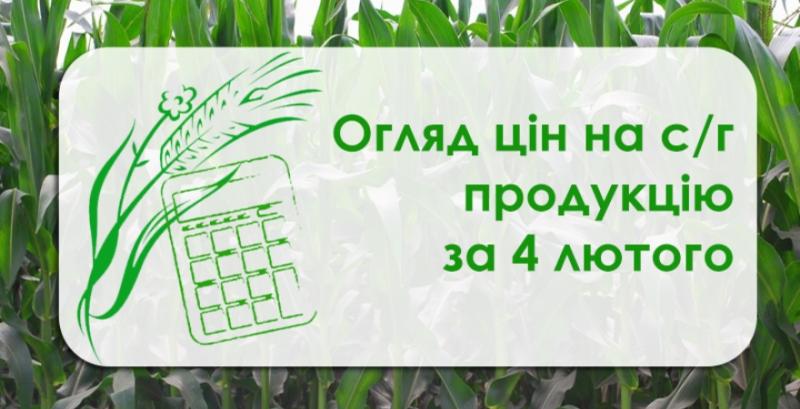 Кукурудза та ячмінь продовжують дорожчати — огляд цін на с/г продукцію за 4 лютого