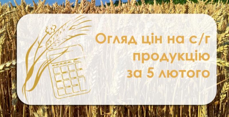 Соя, кукурудза та ячмінь подорожчали — огляд цін на с/г продукцію за 5 лютого