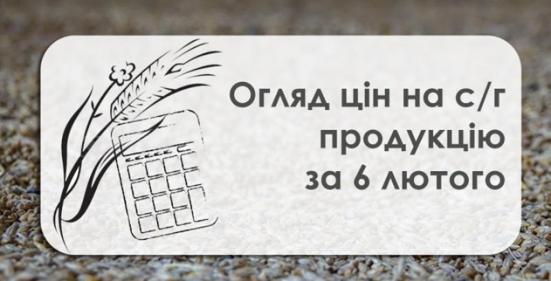 Соняшник та соя подешевшали — огляд цін на с/г продукцію за 6 лютого