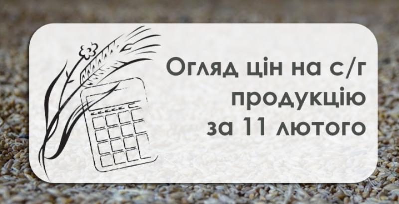 Кукурудза продовжує дешевшати — огляд цін на с/г продукцію за 11 лютого