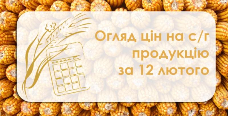 Зернові та олійні продовжують дешевшати — огляд цін на с/г продукцію за 12 лютого