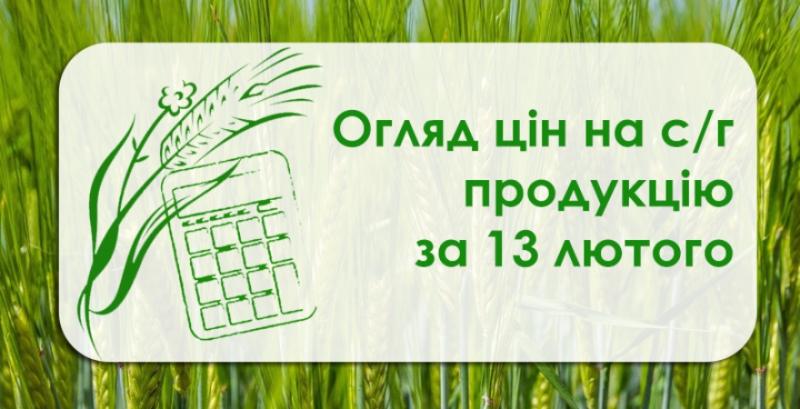 Ячмінь та кукурудза дешевшають — огляд цін на с/г продукцію за 13 лютого