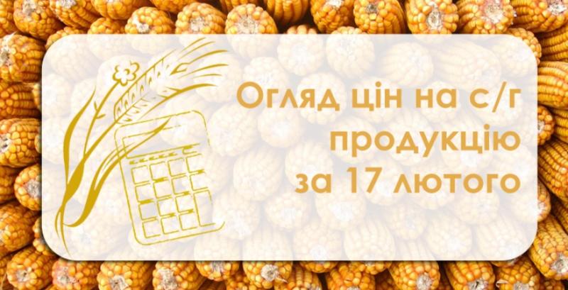 Соя та ріпак подешевшали — огляд цін на с/г продукцію за 17 лютого