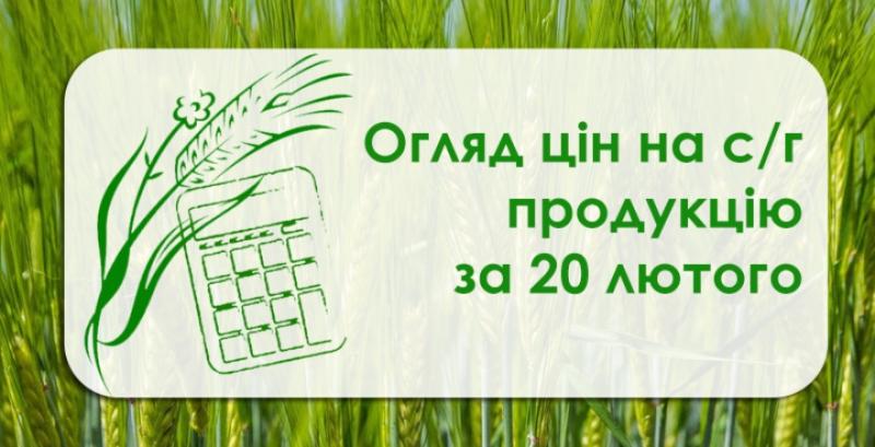 Як змінились ціни на зернові та олійні — огляд за 20 лютого