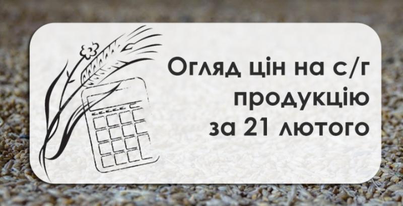 Соняшник, соя та ріпак подорожчали — огляд цін на с/г продукцію за 21 лютого