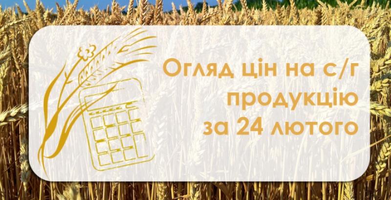 Соняшник та кукурудза подорожчали — огляд цін на с/г продукцію за 24 лютого