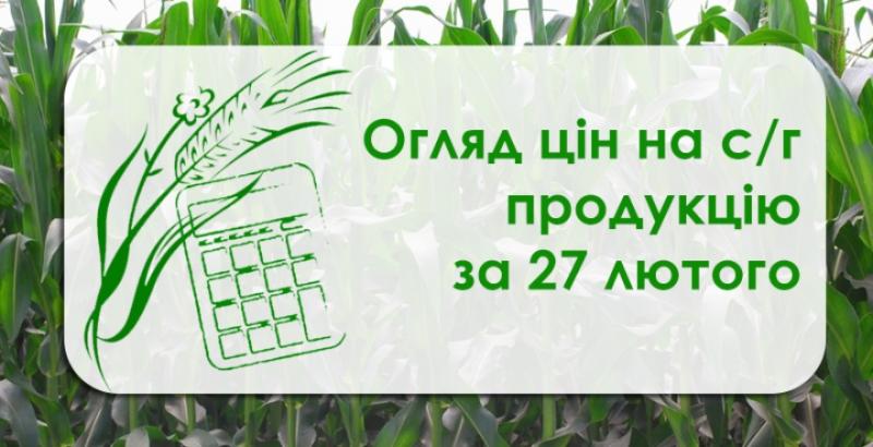 Ціни на кукурудзу в Україні продовжують знижуватись — огляд цін на с/г продукцію за 27 лютого