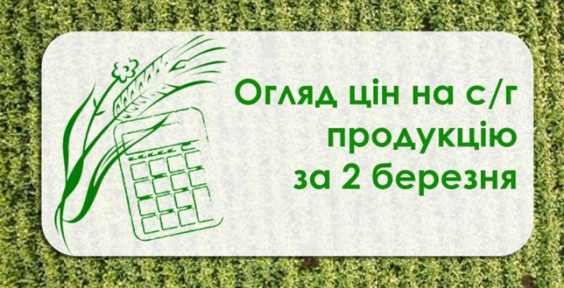 Ріпак та соя подорожчали — огляд цін на с/г продукцію за 2 березня