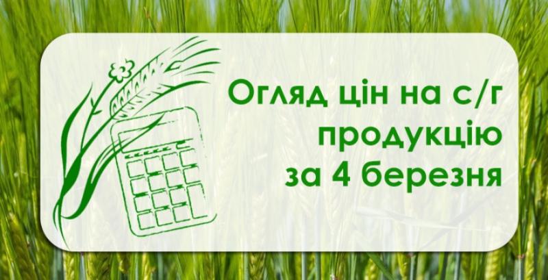 В Україні подешевшала пшениця — огляд цін на с/г продукцію за 4 березня