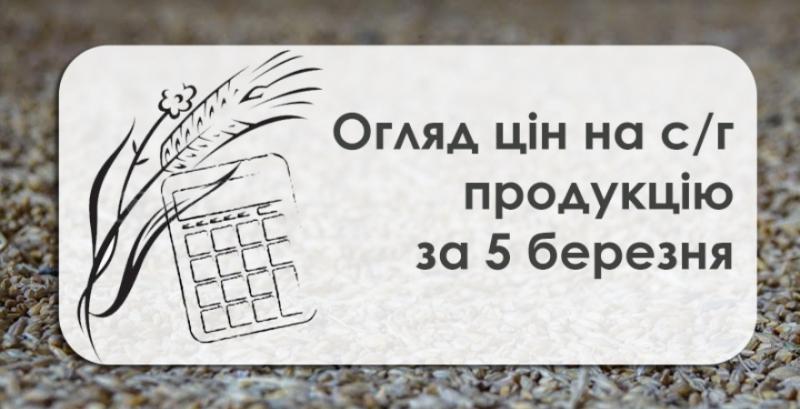 В Україні знижуються закупівельні ціни на зернові — огляд за 5 березня