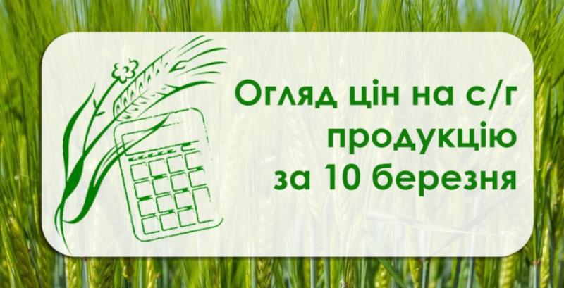 В Україні знизились закупівельні ціни на ріпак та сою — огляд за 10 березня