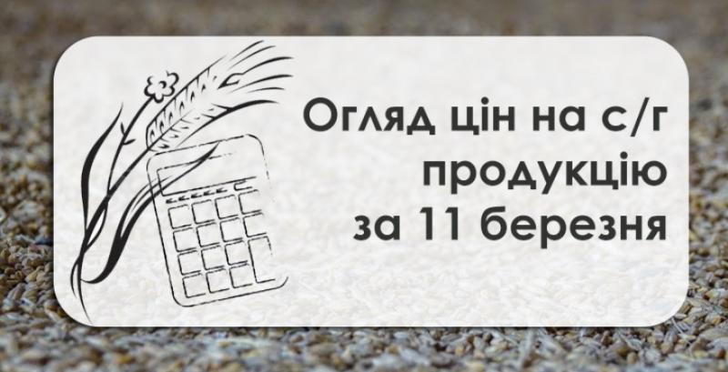 В Україні подешевшали соя та соняшник — огляд цін на с/г продукцію за 11 березня