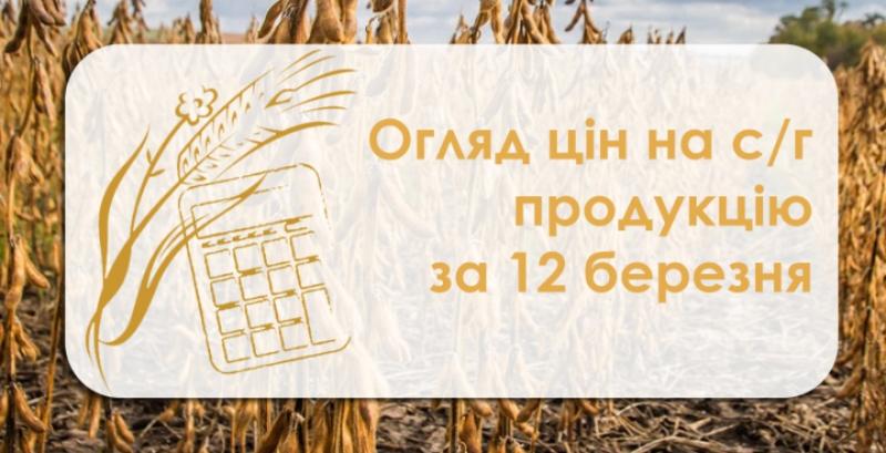 Пшениця та ячмінь подорожчали — огляд цін на с/г продукцію за 12 березня