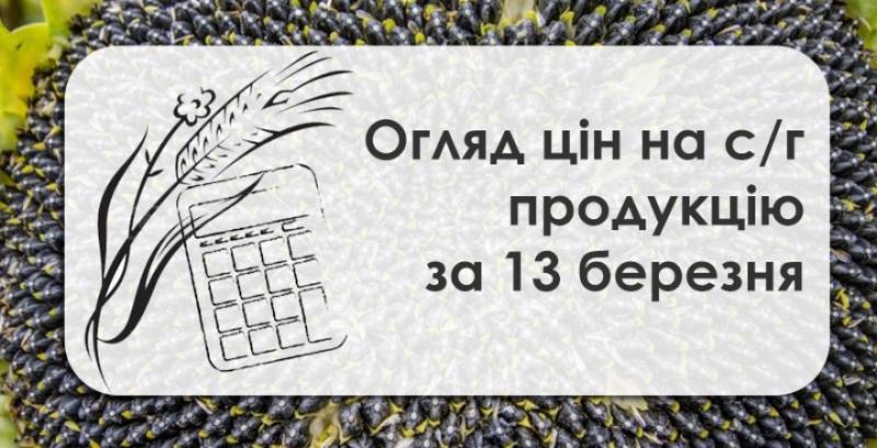 В Україні подешевшала пшениця — огляд цін на с/г продукцію за 13 березня