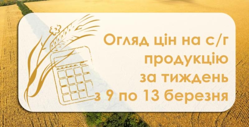 Як змінились ціни на зернові та олійні  — огляд за тиждень з 9 по 13 березня