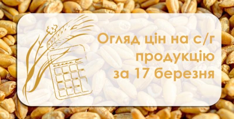 Ячмінь, кукурудза та соя подорожчали — огляд цін на с/г продукцію за 17 березня