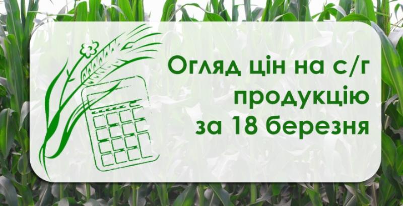 Закупівельні ціни на кукурудзу продовжують зростати — огляд за 18 березня