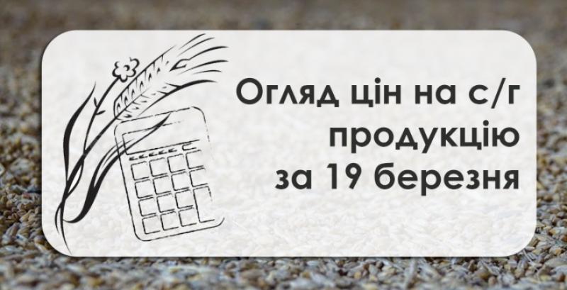 В Україні подорожчали олійні — огляд цін на с/г продукцію за 19 березня