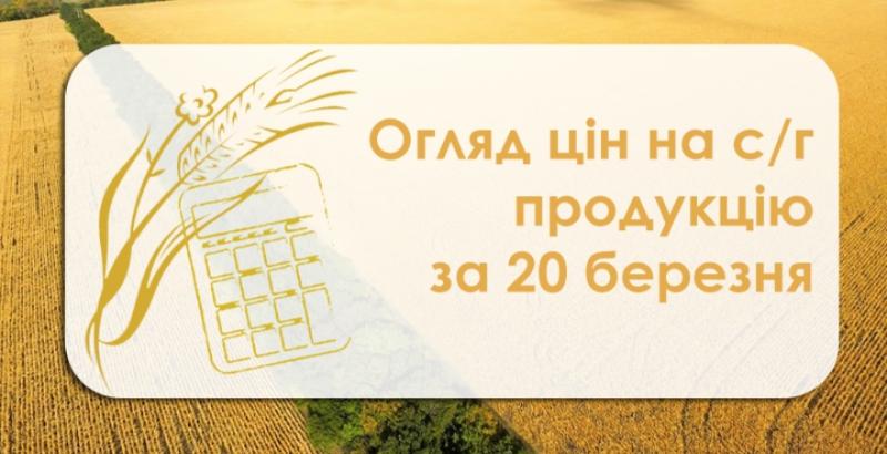 Соняшник та соя продовжують дорожчати — огляд цін на с/г продукцію за 20 березня