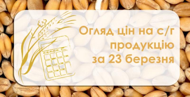 В Україні подорожчали зернові та олійні — огляд цін на с/г продукцію за 23 березня