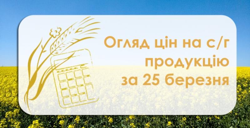 Закупівельні ціни на соняшник зросли  — огляд за 25 березня