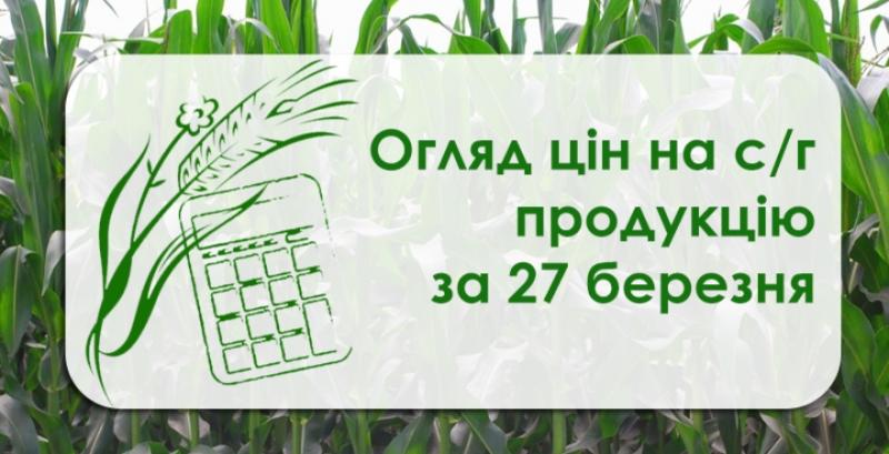 Пшениця та кукурудза подорожчали  — огляд цін на с/г  продукцію за 27 березня