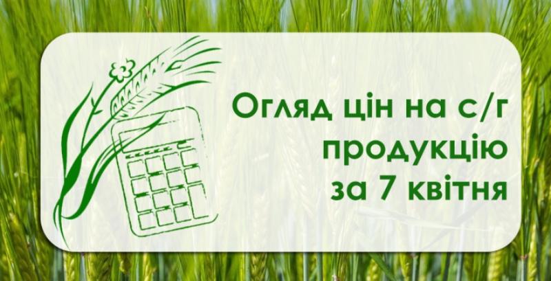 Соя подешевшала, зернові подорожчали  — огляд цін на с/г продукцію за 7 квітня