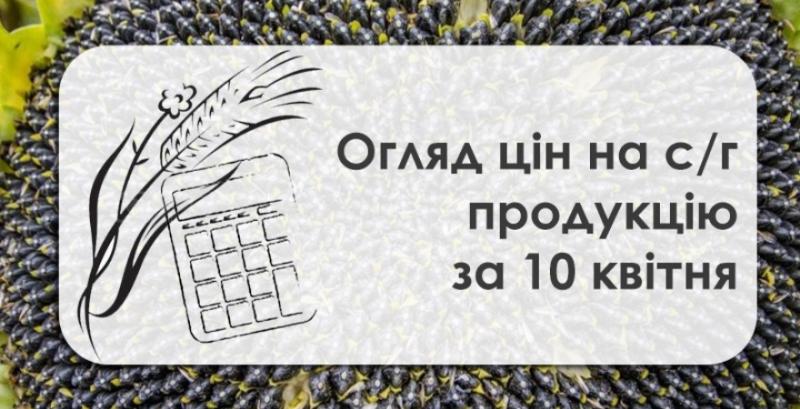 Ціна кукурудзи знизилась після трьотижневого зростання  — огляд за 10 квітня