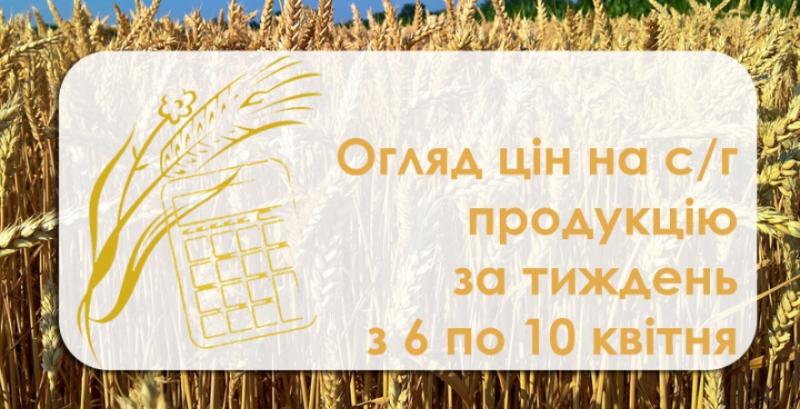 Як змінилися ціни на зернові та олійні в Україні — огляд за тиждень з 6 по 10 квітня