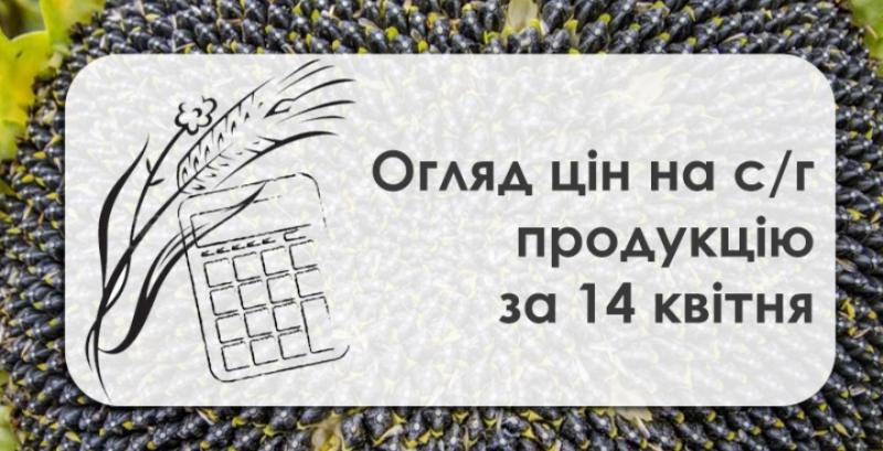 Кукурудза та соняшник подорожчали  — огляд цін на с/г продукцію за 14 квітня