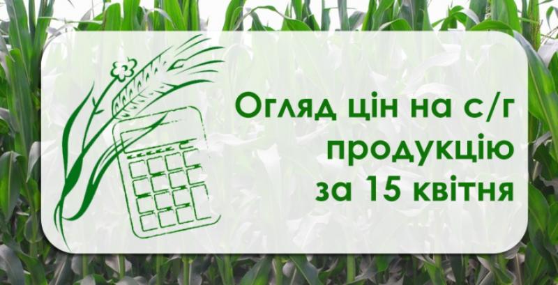 В Україні подорожчали олійні  — огляд цін на с/г продукцію за 15 квітня