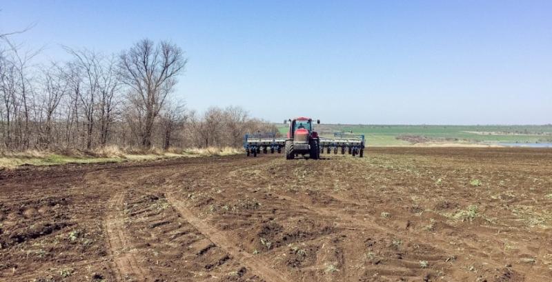 Вінницькі аграрії завершують посів зернових та зернобобових