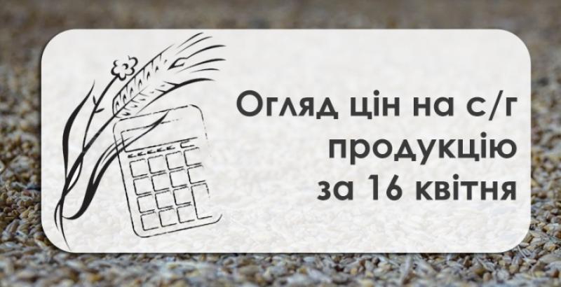 В Україні зросли закупівельні ціни на пшеницю  — огляд за 16 квітня