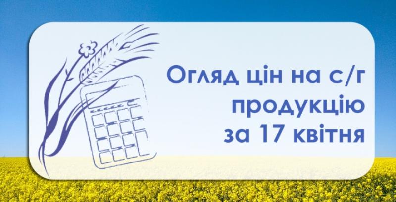 Ціна пшениці перевищила 200 доларів за тонну  — огляд за 17 квітня