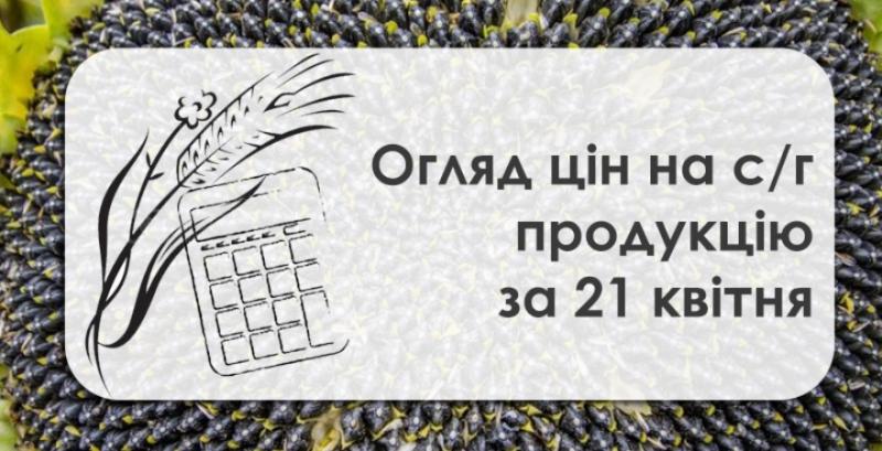 Кукурудза та соняшник подорожчали — огляд цін на с/г продукцію за 21 квітня