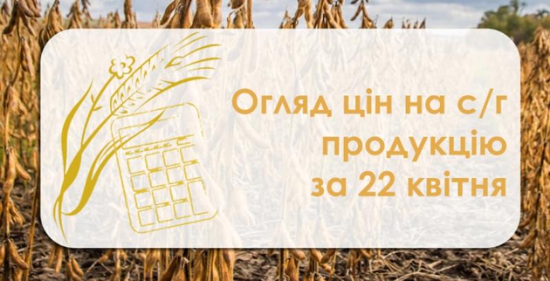 В Україні дорожчає соняшник — огляд цін на с/г продукцію за 22 квітня