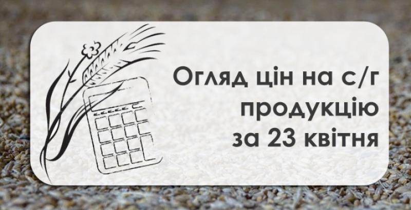 Ціни на пшеницю пішли до низу — огляд за 23 квітня