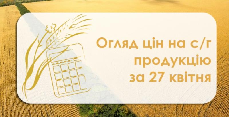 Закупівельні ціни на кукурудзу знизились — огляд за 27 квітня