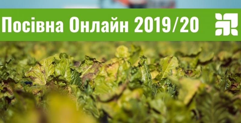 В Україні посіяно майже 200 тисяч га цукрових буряків 