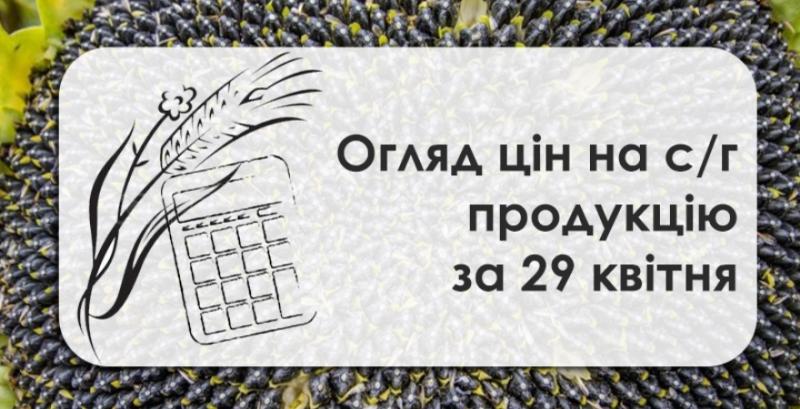 Ціни на пшеницю в портах перевищили 200 доларів за тонну — огляд за 29 квітня